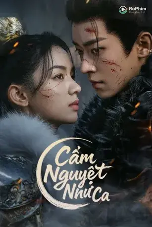 Cẩm Nguyệt Như Ca