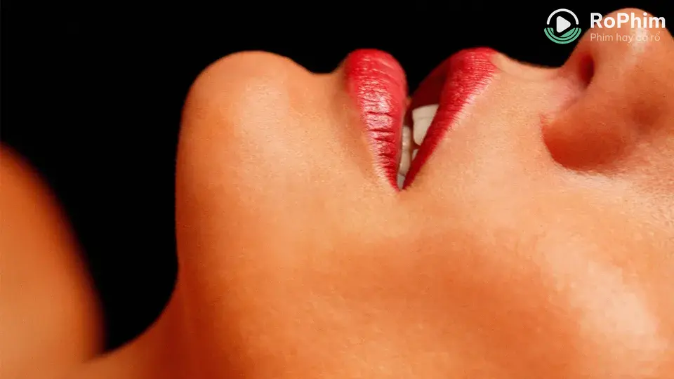 Chuyện Ở Nhà Thổ Berlin Tập FULL