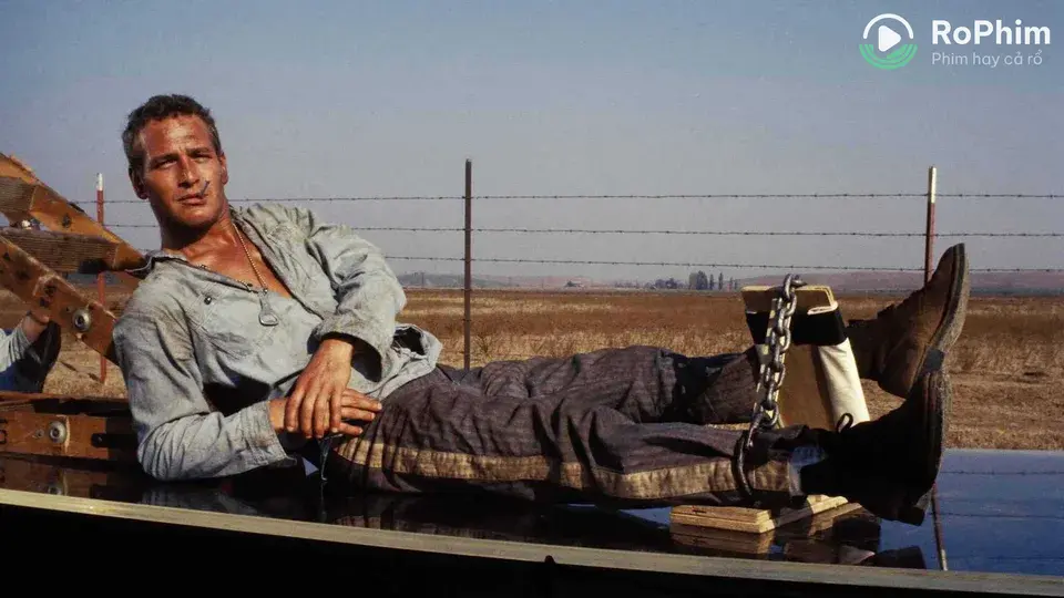 Kẻ Trơ Tráo Tập Full