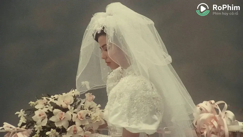 Lưu Kim Tuế Nguyệt (1988) Tập Full