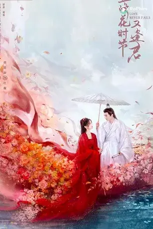 Mùa Hoa Rơi Gặp Lại Chàng