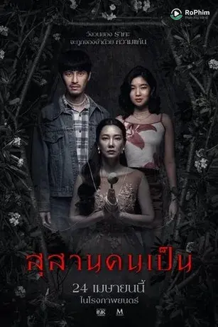 Nghĩa Địa của Người Sống