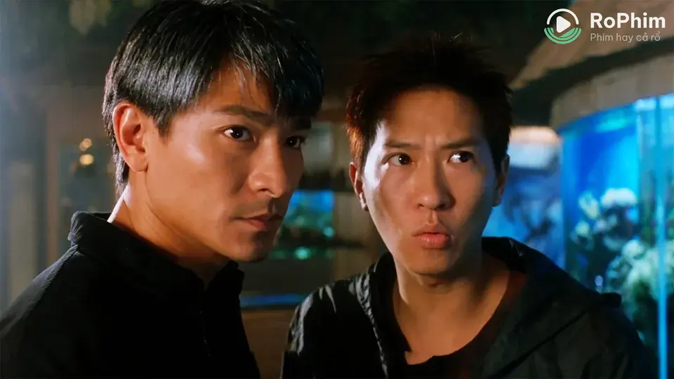 Vua Bịp Tập Full