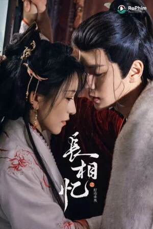 Trường Tương Ức: Đăng Dã Gợi Cảm