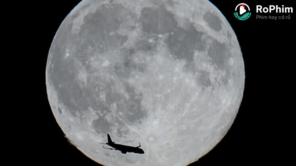 Tiệc Quái thú trong đêm tối Tập Full